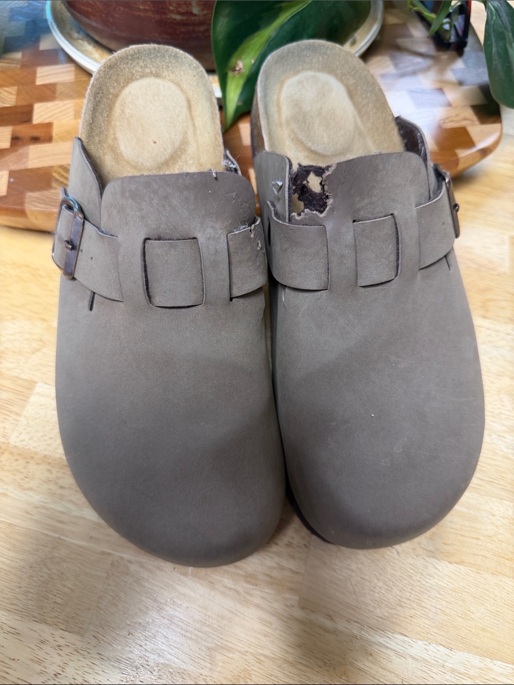 Women’s Slip-On Clog in Taupe